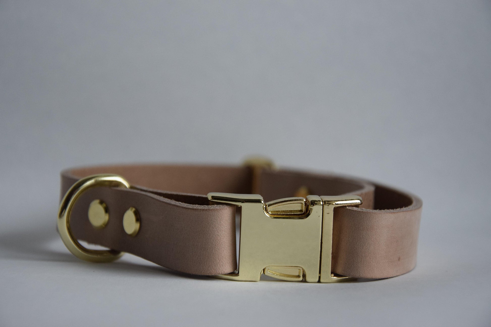 Hondenhalsband – Goud / Beige leer - PetStyles - PetStyles