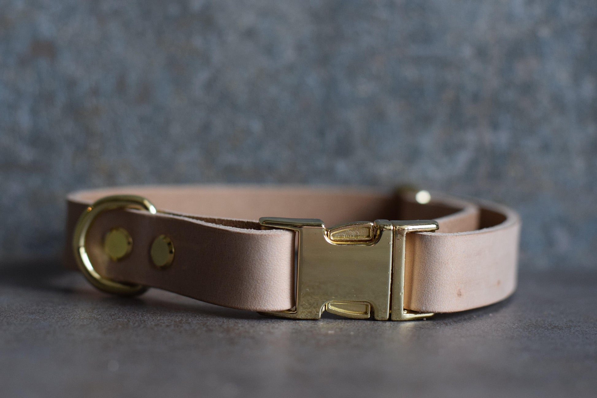 Hondenhalsband – Goud / Beige leer - PetStyles - PetStyles